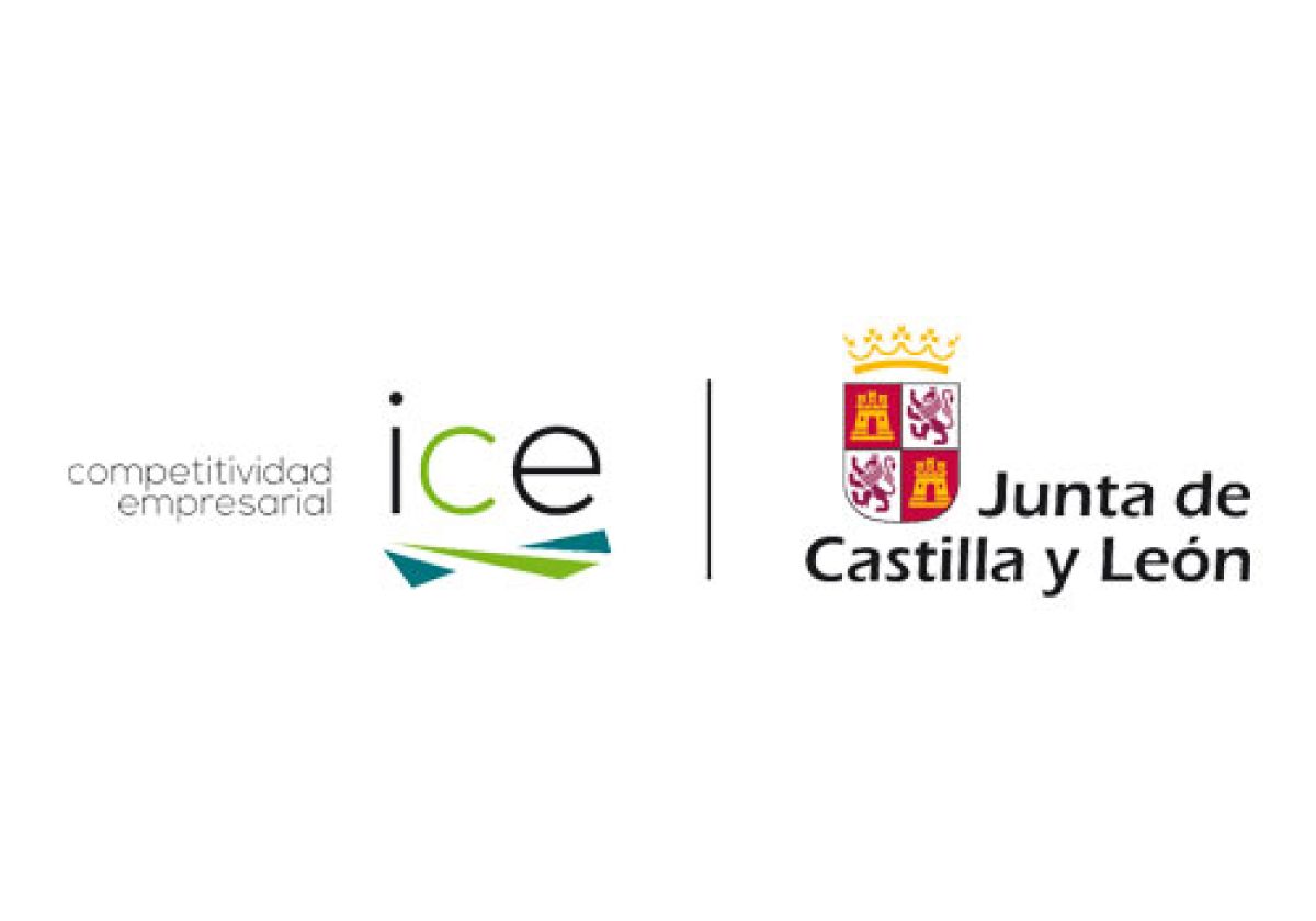 Instituto para la Competitividad Empresarial de Castilla y León ICE